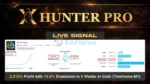 X Hunter Pro EA MT5 Signal Results