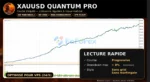 Xauusd Quantum Pro EA backtets