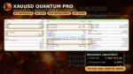 Xauusd Quantum Pro EA MT5 backtets