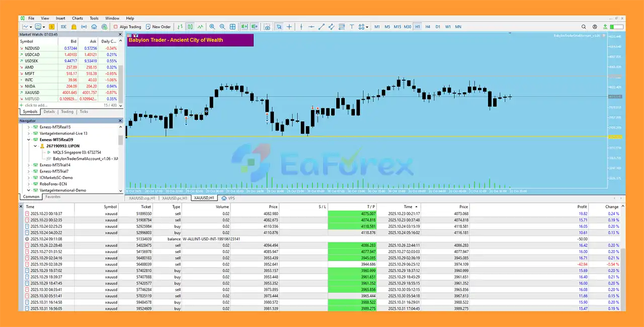 Babylon Trader Small Account Pro MT5 Reading Results