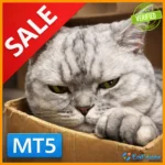 Hunting Cat Scalper MT5