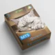 Hunting Cat Scalper MT5 EA