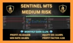 Sentinel MT5 EA Backtests