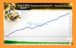 Xauusd Quantum Scalping EA MT5 Backtests