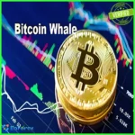 BitcoinWhale EA MT4