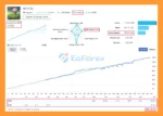 NetZ EA MT4 Signal Results