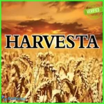 Harvesta EA MT4