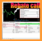 Rebate Call EA MT4 Backtests
