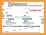 Combined SCCC MT4 Backtest