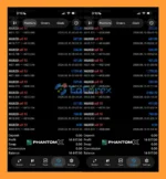 MFXT PHANTOM X MT5 Trading Results