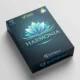Harmonia MT5 EA
