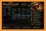 Sharkyra Gold EA Backtest