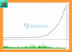 Bright Nest EA Backtets