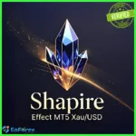 Shapire Effect EA MT5