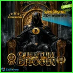 Quantum Bitcoin MT5
