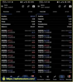 Apex Neural System EA Trading Results
